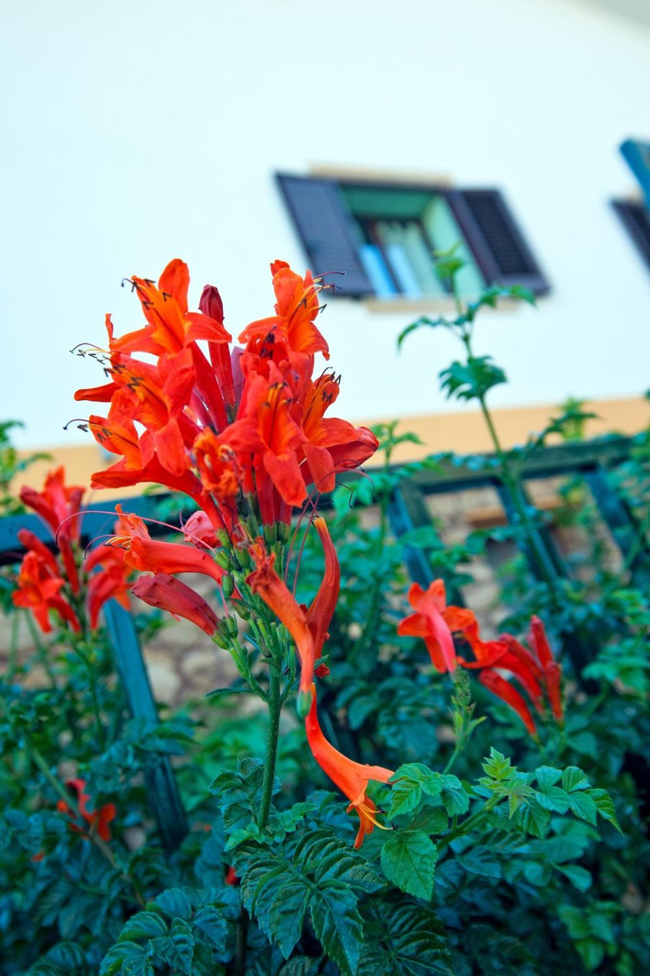 Casale La Zagara Aparthotel Sciacca Buitenkant foto